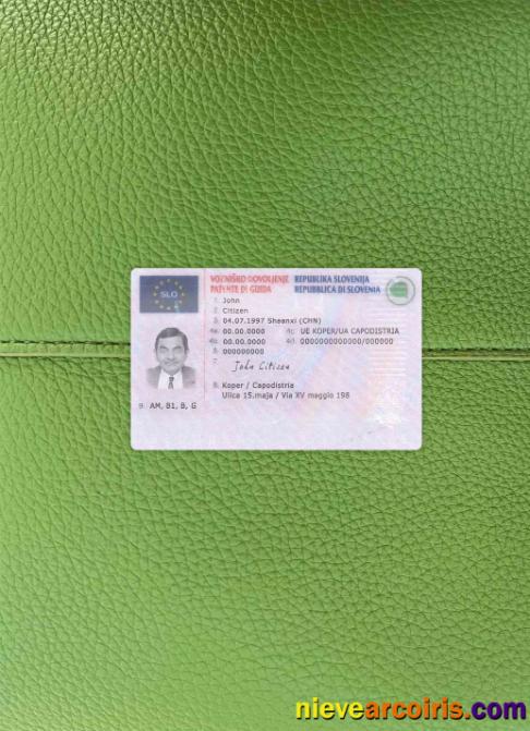Slovenia driving license photolook
